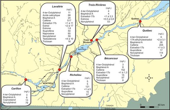 Concentrations de produits pharmaceutiques et de soins personnels mesurées en 2006 dans l’eau du Saint-Laurent et de quelques tributaires à la station de Carillon, Lavaltrie, Richelieu, Trois-Rivières, Bécancour et Québec.