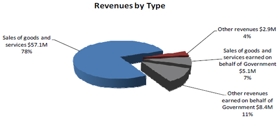 Revenues by Type