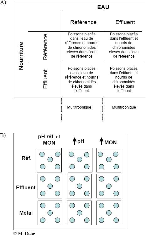 Figure 9-8 : A) Protocole expérimental  factoriel visant à examiner l’importance relative du milieu aquatique et du  régime alimentaire en ce qui a trait aux réactions du Méné à grosse tête aux  effluents miniers dans des mésocosmes modulaires; B) Protocole  expérimental servant à examiner l’incidence du pH et des matières organiques  naturelles (MON) sur les réactions du Méné à grosse tête exposé à un mélange  d’effluents miniers et à un seul métal dans des mésocosmes multitrophiques  modulaires. 