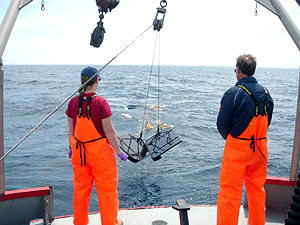 Environment Canada scientists collect fish samples for the sediment speciment bank by trawling the Great Lakes aboard the CCGS Shark | Photo: Melanie Neilson (EC)