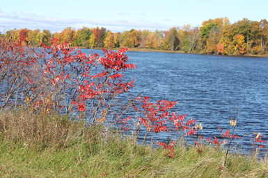 Ottawa River Environment and Climate Change Canada