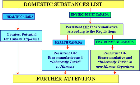 The categorization process that was followed by Health Canada and Environment Canada (See long description below)