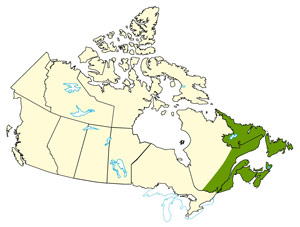 A map of Canada indicating the regions of Quebec, Newfoundland and Labrador, New Brunswick, Nova Scotia and Prince Edward Island impacted by hurricanes during the 2011 hurricane season. 