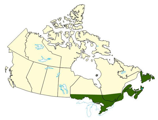 Map of Canada with affected regions highlighted