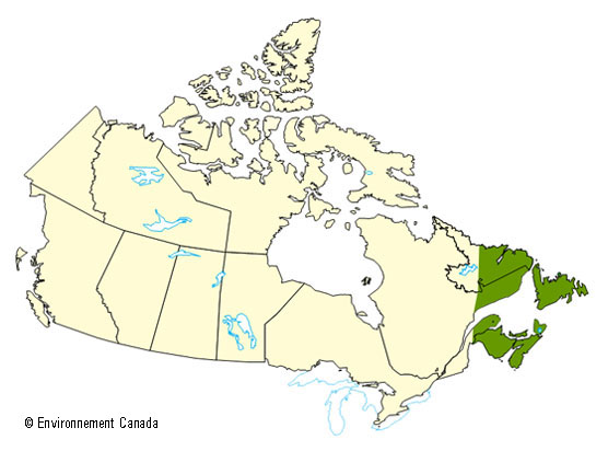 Carte du Canada montrant les zones les plus touchées par l’ouragan Igor, soit la Nouvelle Écosse, l’Île-du-Prince-Édouard, le Nouveau-Brunswick, toute l’île de Terre-Neuve, l’est du Labrador et la Gaspésie.