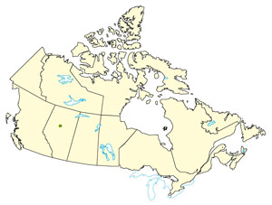 Carte du Canada démontrant l'emplacement de la communauté de Slave Lake.
